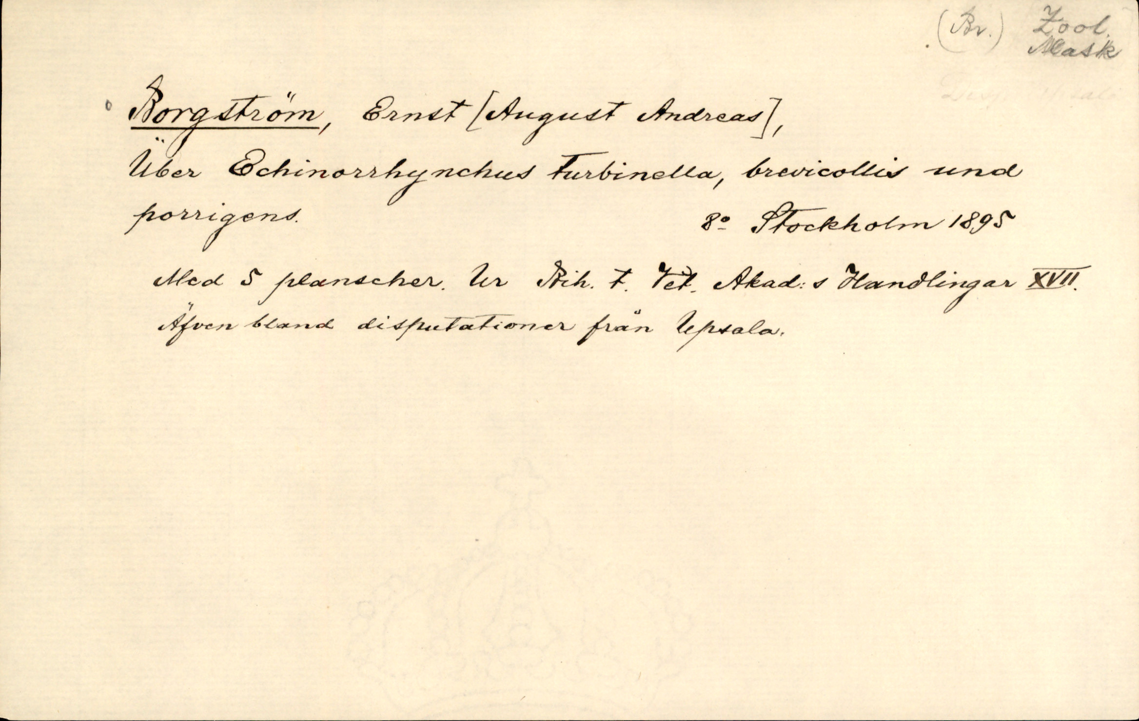 Catalogue Card_226496