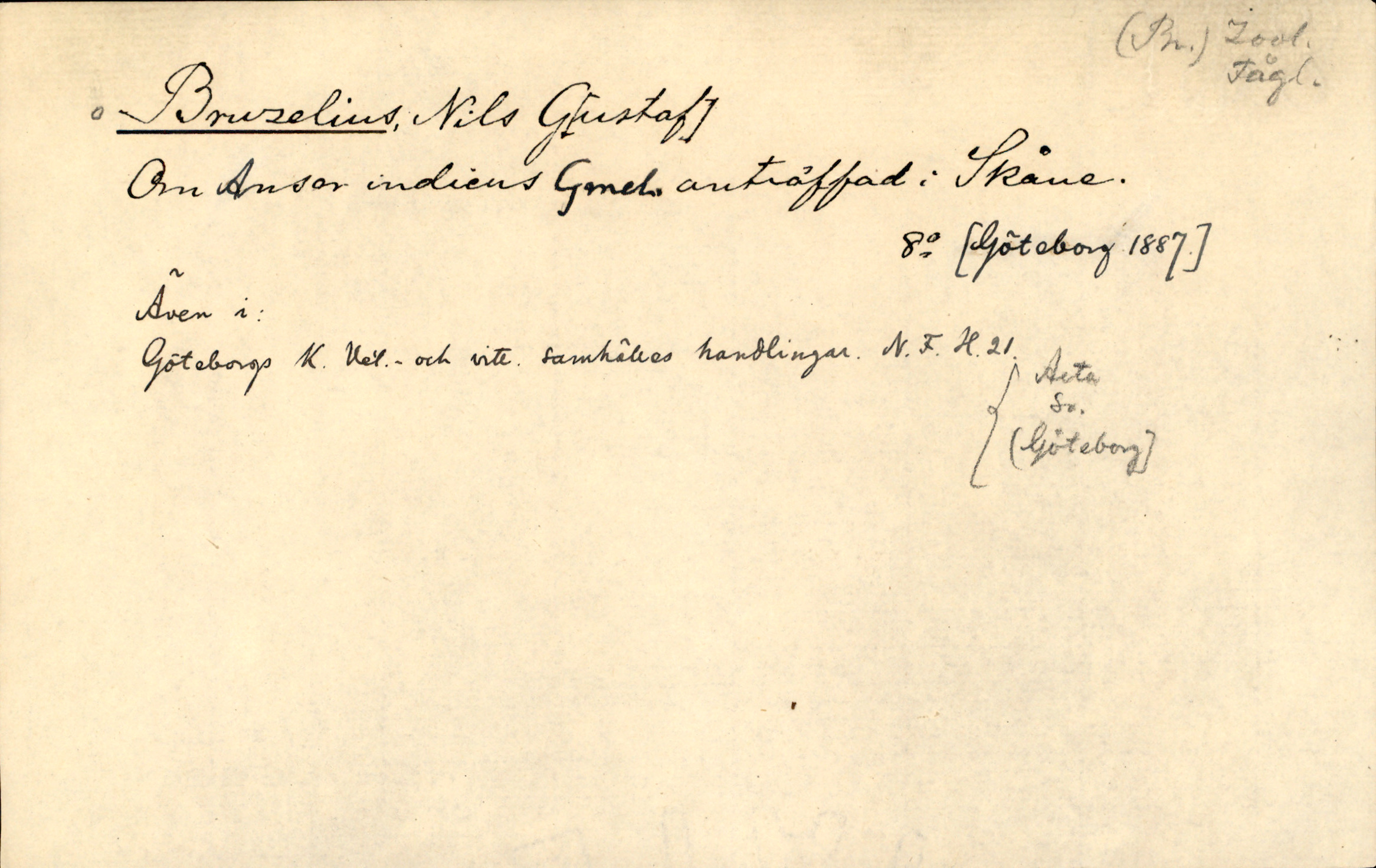Catalogue Card_241449