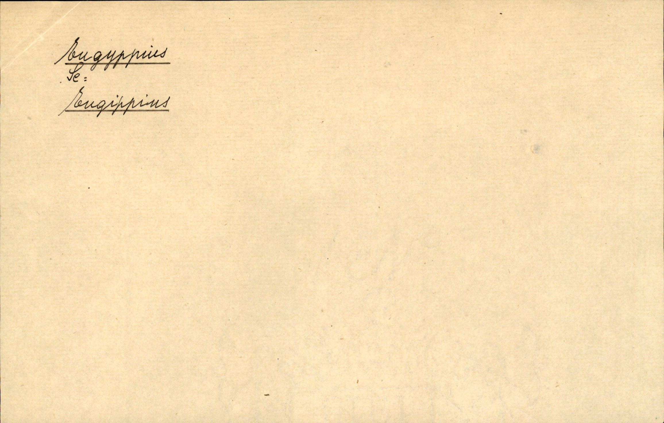 Catalogue Card_339971