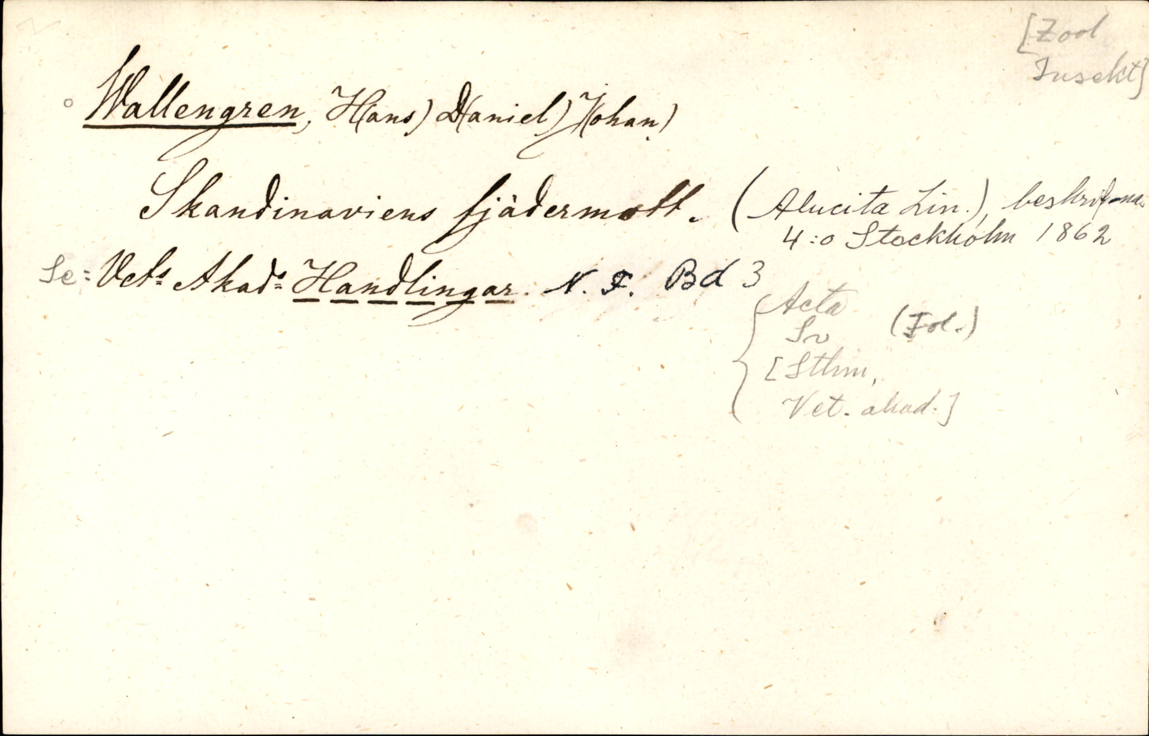 Catalogue Card_905655